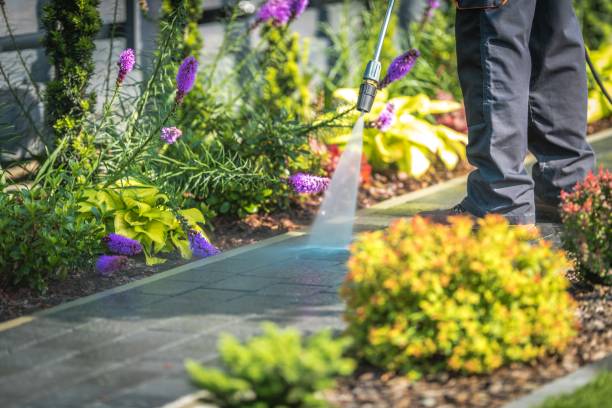 Best Sidewalk and Walkway Cleaning  in Lakeview, OR